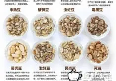 咖啡豆知识 瑕疵豆对咖啡的口感影响特别大