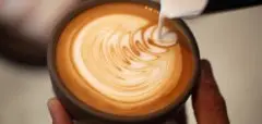 精品咖啡基础常识 咖啡的香味和香气