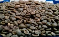 什么是湿制咖啡？ 精品咖啡基础常识