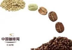 咖啡豆烘焙理论 精品咖啡豆的基础知识