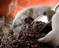 大粒咖啡豆与小咖啡豆味道之间的区别 咖啡种类