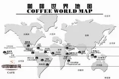 咖啡的种植条件 精品咖啡学咖啡基础知识