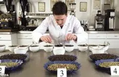 咖啡豆的品尝检测 什么是咖啡杯测？