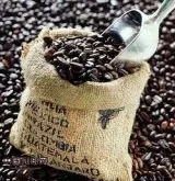 精品咖啡豆常识 10个精品咖啡豆的必备要素