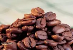 牙买加蓝山咖啡豆 国王的咖啡