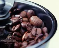 夏威夷科纳咖啡 世界上最美丽地方的咖啡豆