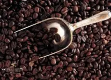 咖啡因的作用 咖啡因是一种较轻微的兴奋剂