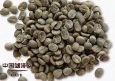 咖啡豆处理 加工生咖啡豆的方法