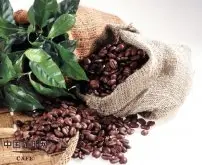 咖啡的主要产地有哪些 咖啡豆的生产地