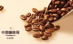 咖啡豆的基础知识 生咖啡豆的主要化学成份