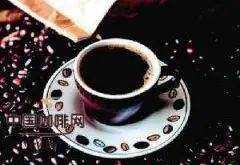 猫屎咖啡 麝香猫咖啡是咖啡豆中的奢侈品