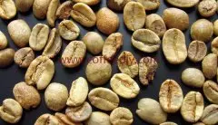 精品咖啡豆混配常识 咖啡豆怎么拼配?
