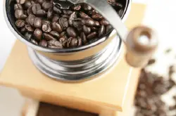 对蓝山咖啡制作的一些个人见解 蓝山咖啡豆