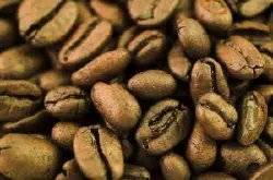 乞力马扎罗咖啡 制作最具非洲“野性”特色的咖啡