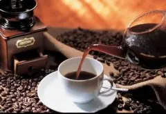 精品巴西咖啡豆 Brazil santos coffee gr