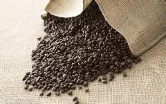 有机咖啡豆 选择有机咖啡豆的理由