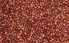 精品咖啡豆知识 亚洲主要咖啡豆产区