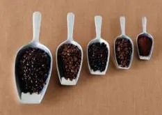 精品咖啡学 烘焙过的咖啡豆如何分辨精品豆