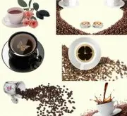 咖啡基础常识 咖啡每天喝多少比较好