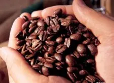 如何鉴赏精品咖啡豆 咖啡豆的鉴赏方法