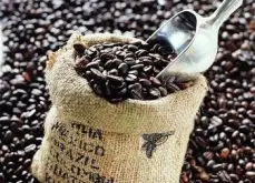 精品咖啡豆的特点 精品咖啡豆简介