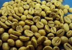 罗布斯塔咖啡的种植和发展