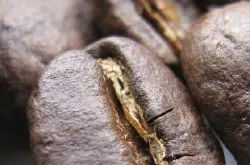 鲜度是咖啡的生命 如何判定咖啡豆的新鲜度