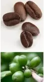 咖啡豆烘焙知识 咖啡豆的中度烘焙