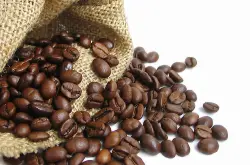 怎样的咖啡豆可以称为精品咖啡豆
