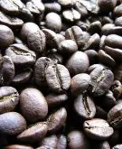 世界各地咖啡豆的种类 精品咖啡常识