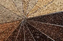 巴西COCAPEC预测其成员2015年咖啡产量将下降一半