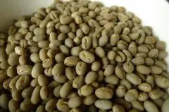 公豆（Peaberry）在咖啡豆里算是好还是不好呢？
