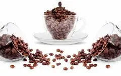 常见的咖啡豆按味觉分类 酸苦甜香醇的咖啡风味