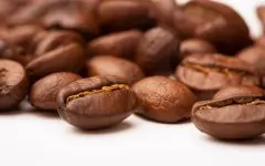 不同品牌的猫屎咖啡 咖啡豆介绍