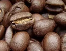 咖啡味道的百分之80是由烘焙决定的
