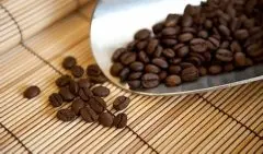 咖啡豆介绍 多米尼加的圣多明各咖啡