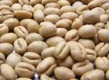 精品咖啡豆产介绍 安哥拉的咖啡