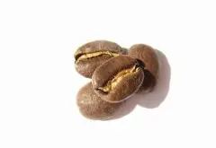 咖啡豆研磨前的加工处理过程 详解咖啡果的处理