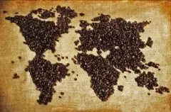 蓝山咖啡品质控制 咖啡生豆