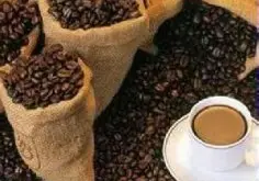 咖啡之旅 非洲咖啡缓慢中前行的中国之旅