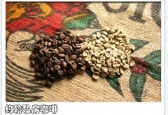 巴布亚新几内亚 Sigri天堂鸟咖啡豆