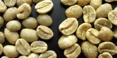 精品咖啡生豆：新豆、旧豆之分