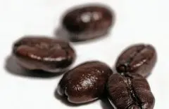 精品咖啡常识 什么是有机咖啡豆