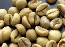 知名咖啡生豆介绍 印尼爪哇罗布斯塔生豆