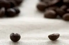 有趣的咖啡豆知识 豆豆分雌雄