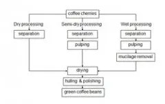 精品咖啡常识 简述咖啡豆的加工过程