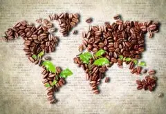 海岛咖啡、非洲咖啡中烘焙口感