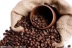 决定咖啡的品质关键 在于咖啡生豆