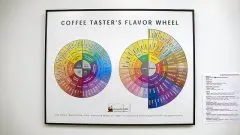 SCAA的咖啡风味轮Coffee Taster's Flavor Wheel