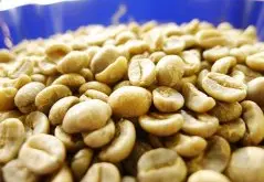 尼加拉瓜天意庄园水洗咖啡熟豆 米赛亚微批次咖啡豆 下单烘焙磨粉